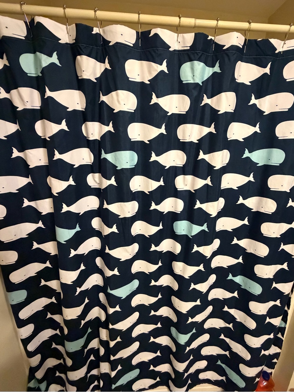 Shower curtain Navy White Whale